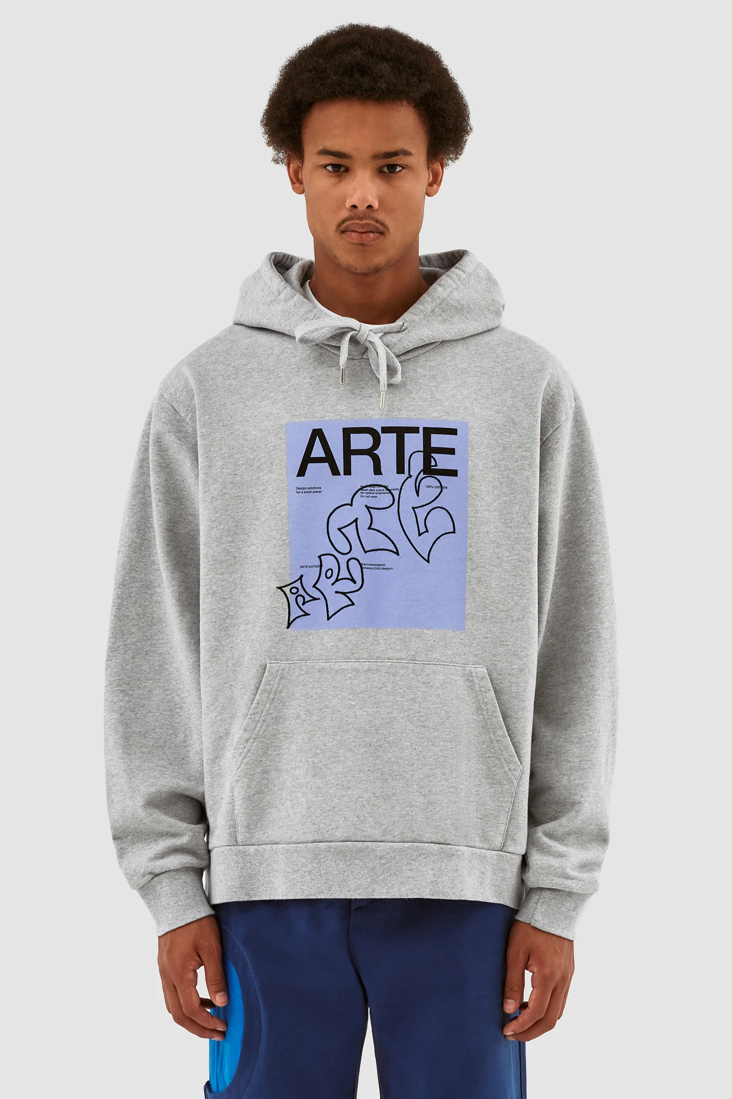 Sweat à capuche Harris Blue Front - Gris - Image 2