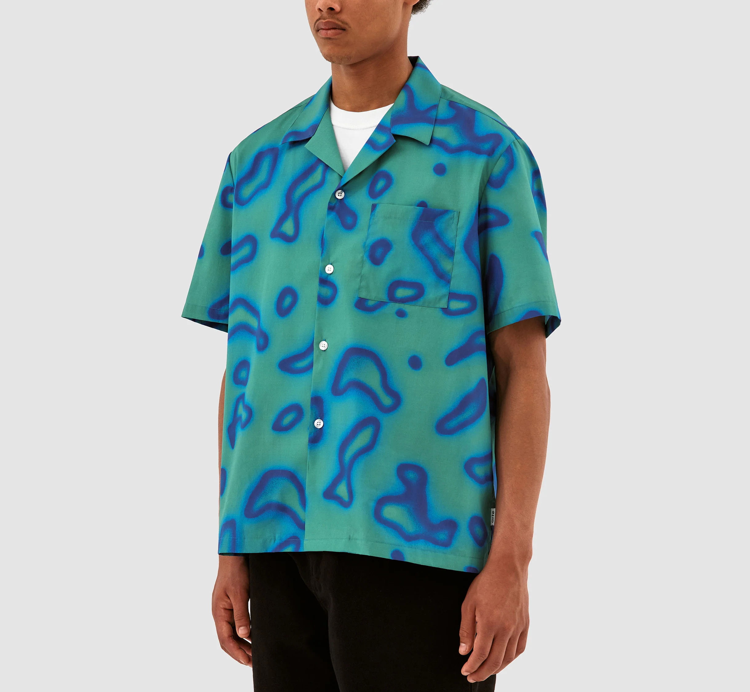 Imprimé Scottie - Vert - Image 4